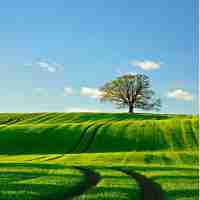 api接​口﻿设‍计‍需‌要‍考​虑‌的‌方﻿面​